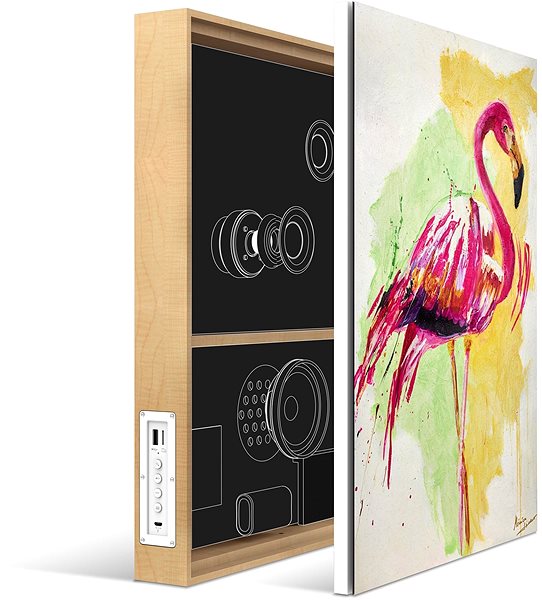 Bluetooth Speaker Energy Sistem Frame Speaker Flamingo Features/technology