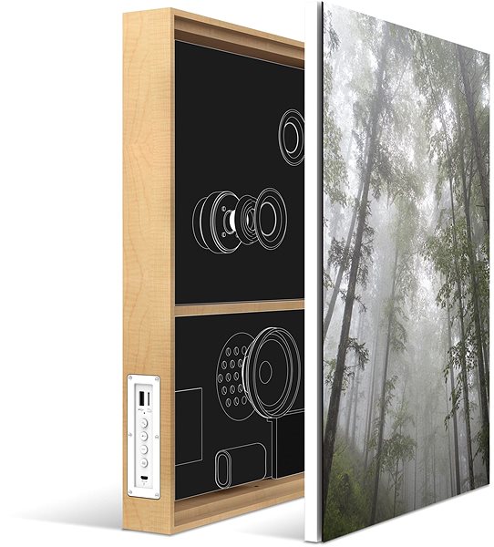 Bluetooth Speaker Energy Sistem Frame Speaker Forest Features/technology