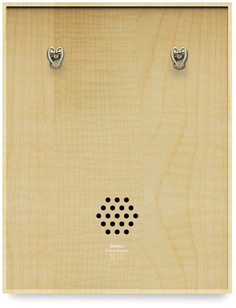 Bluetooth Speaker Energy Sistem Frame Speaker Forest Back page