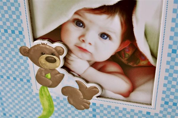Photo Album Goldbuch Baby Boy with Teddy Bear Features/technology