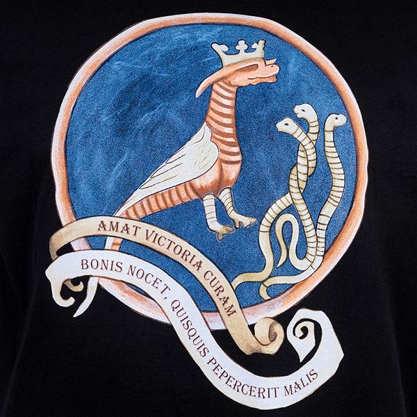 T-Shirt Kingdom Come: Deliverance - Dragon Painting - T-Shirt ...