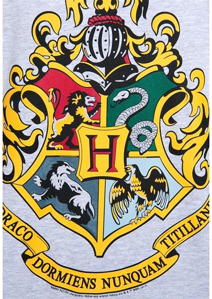 Tričko Harry Potter – Hogwarts – tričko L ...