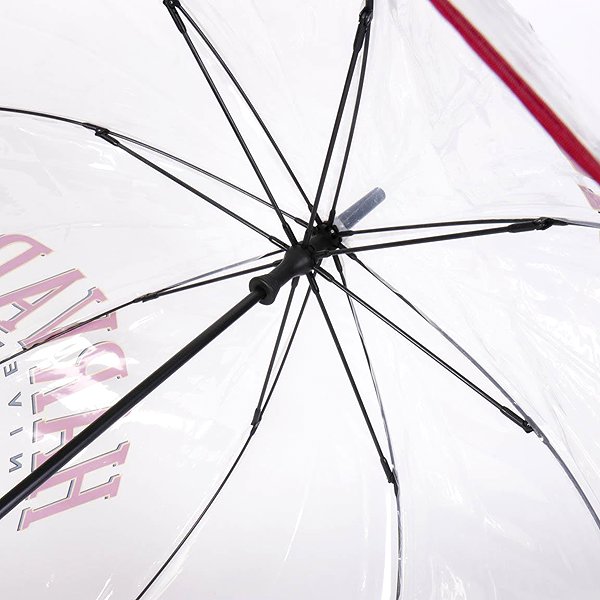 Children's umbrella Cerda Umbrella Harvard transparent .