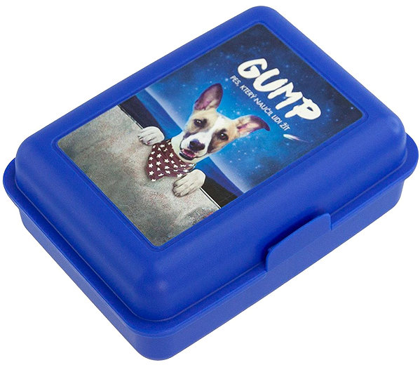 Lunch Box GUMP Snack box antibacterial ...