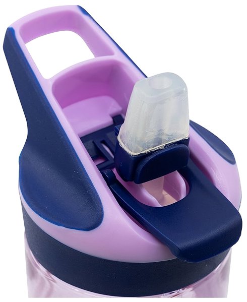 Detská fľaša na pitie Ecozen Frozen Ľadové kráľovstvo Journey Premium 620 ml – fľaša na pitie ...