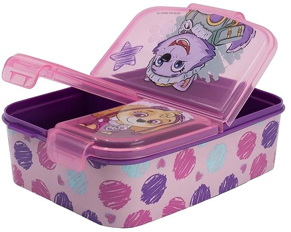 Lunch Box Paw Patrol Lilac Snack Box with Compartments ...