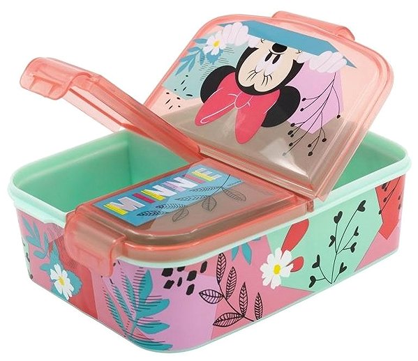 Lunch Box Minnie Flowers Snack Box with Compartments ...