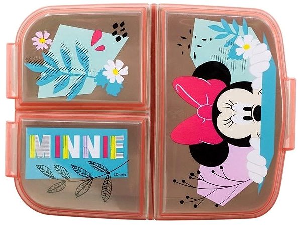 Lunch Box Minnie Flowers Snack Box with Compartments ...