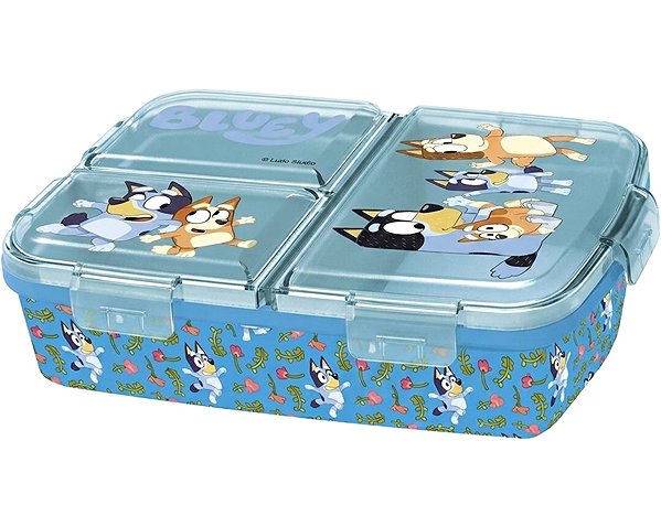Lunch Box Bluey Lunch Box with Compartments - Flowers ...