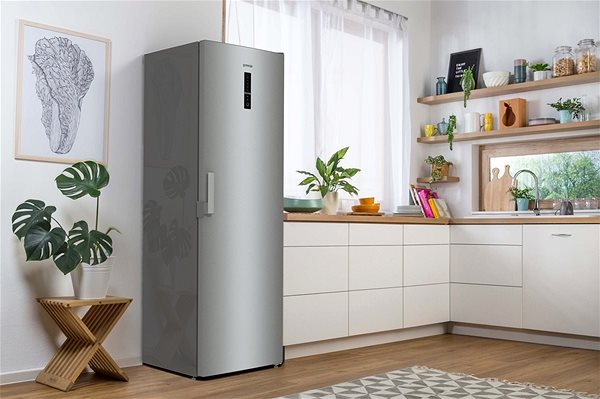 Refrigerator GORENJE R6193LX Lifestyle