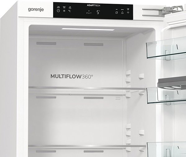 Built-in fridge GORENJE RI517E62WF .