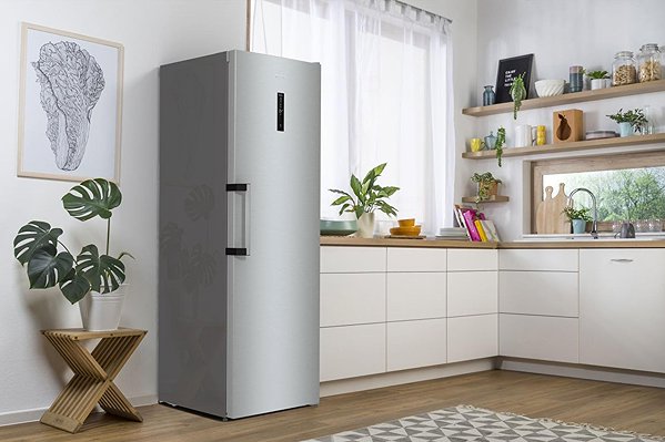 Refrigerator GORENJE R619DAXL6 .