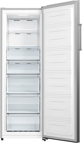 Upright Freezer GORENJE FN617EES5 ...