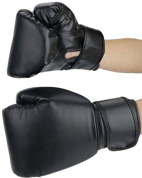 Boxing gloves Gordon G863 Boxing training gloves 2 pcs, black .