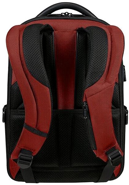 Laptop Backpack Samsonite PRO-DLX 6 Backpack 14.1
