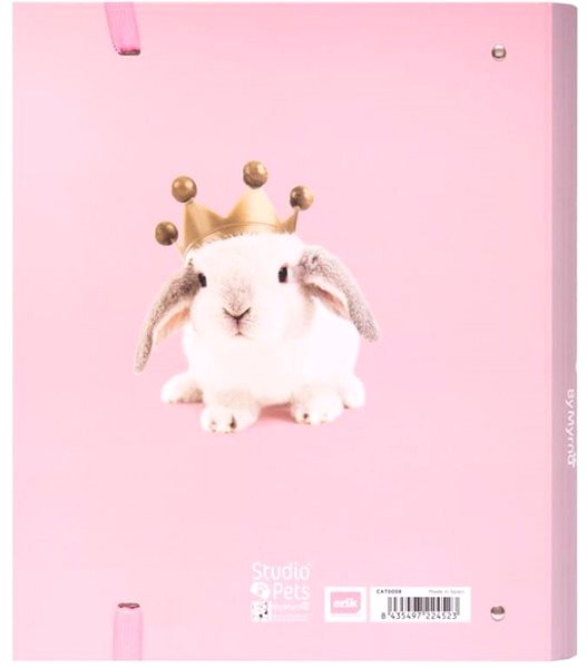 Arch Folder Studio Pets Rabbits - ring binder ...
