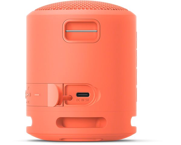 Bluetooth Speaker Sony SRS-XB13, Red-Pink, 2021 Model Connectivity (ports)