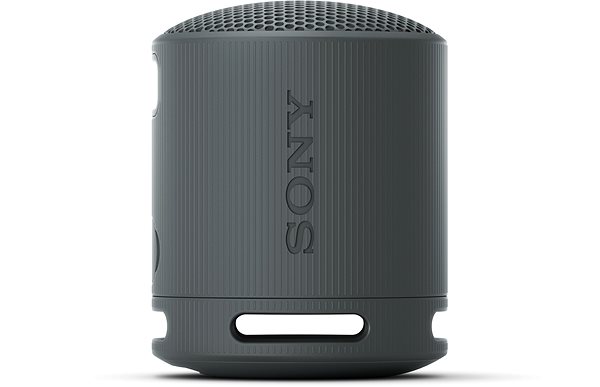 Bluetooth-Lautsprecher Sony SRS-XB100 schwarz ...