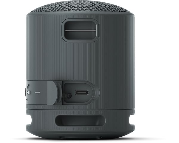 Bluetooth-Lautsprecher Sony SRS-XB100 schwarz ...