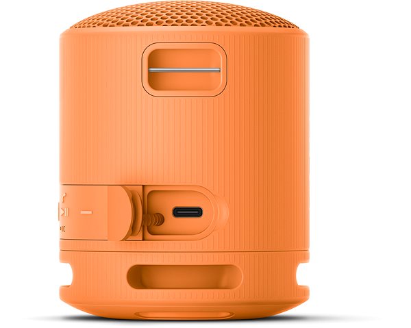 Bluetooth-Lautsprecher Sony SRS-XB100 orange ...