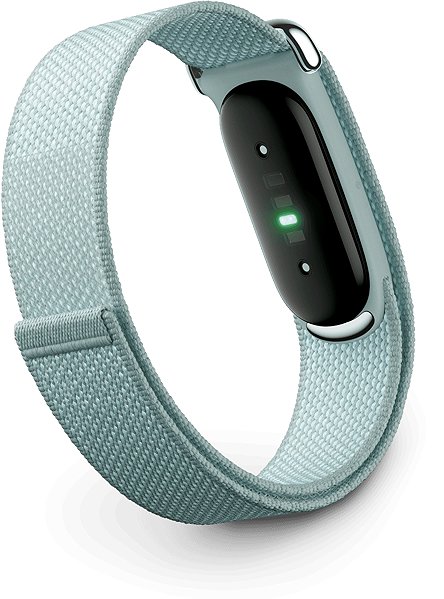 Fitnesstracker Google FitBit Air Fog ...