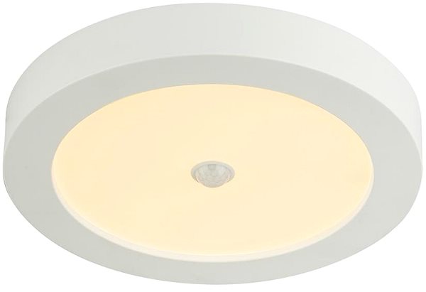 Ceiling Light Globo - LED Outdoor Ceiling Light with Sensor, 1xLED/18W/230V/IP44 Screen