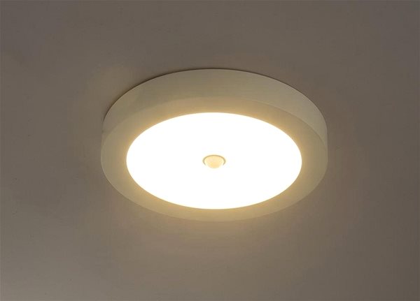 Ceiling Light Globo - LED Outdoor Ceiling Light with Sensor, 1xLED/18W/230V/IP44 Lifestyle