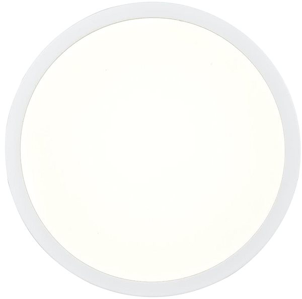 Ceiling Light Globo - LED Dimmable Bathroom Ceiling Light, LED/15W/230V/IP44 Screen