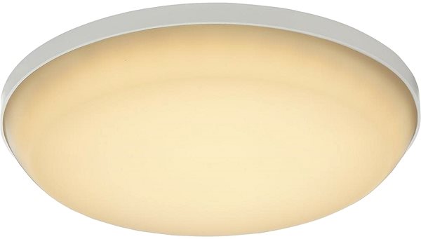 Ceiling Light Globo - LED Outdoor Ceiling Light, 1xLED/18W/230V/IP54 Screen