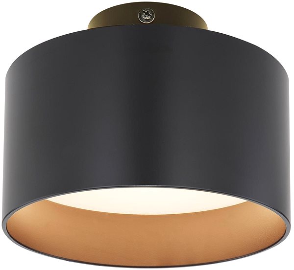 Ceiling Light Globo - LED Ceiling Light, LED/16W/230V Screen