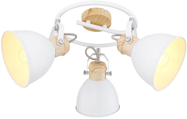 Ceiling Light Globo - Spotlight, 3xE27/40W/230V Screen