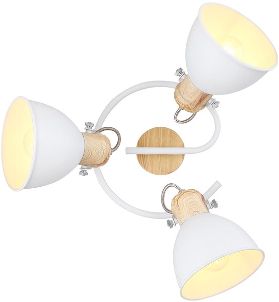 Ceiling Light Globo - Spotlight, 3xE27/40W/230V Screen