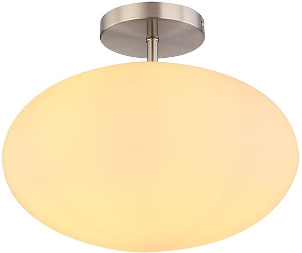Ceiling Light Globo - Ceiling Lamp 1xE27/60W/230V Screen