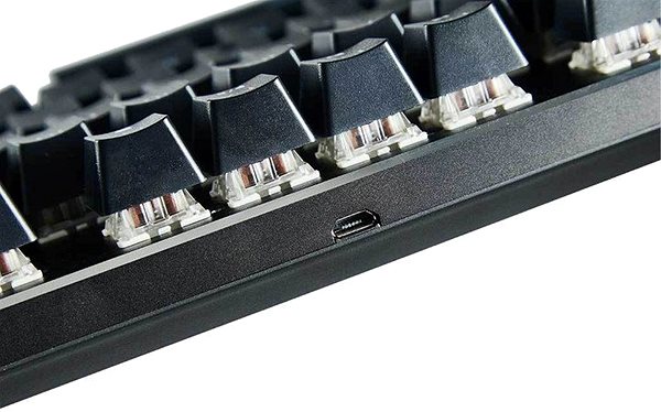Gaming-Tastatur Glorious GMMK TKL Gateron Brown - schwarz -US Anschlussmöglichkeiten (Ports)