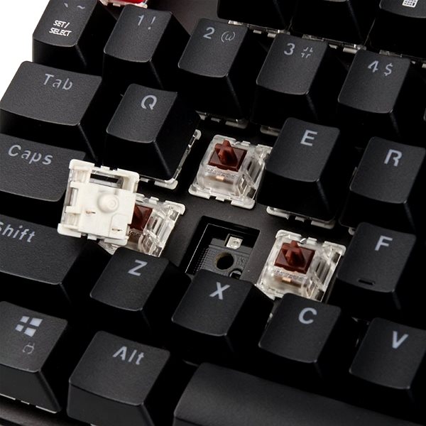 Gaming-Tastatur Glorious GMMK in voller Größe - Gateron Brown, US, schwarz Mermale/Technologie