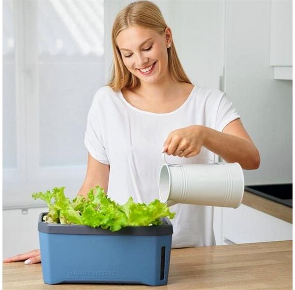 Virágláda Gusta Garden HARRY HERBS önitató virágláda fedél nélkül, világosszürke ...