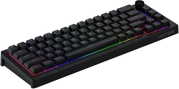 Gaming Keyboard Hator Skyfall 65, black - US ...