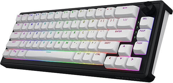 Gaming Keyboard Hator Skyfall 65 wireless, white and black - US ...