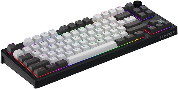 Gaming Keyboard Hator Skyfall 80 PRO wireless, white and black - US ...