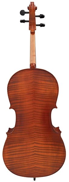 Cello Hidersine 3182AG Cello Set Vivente 4/4 ...