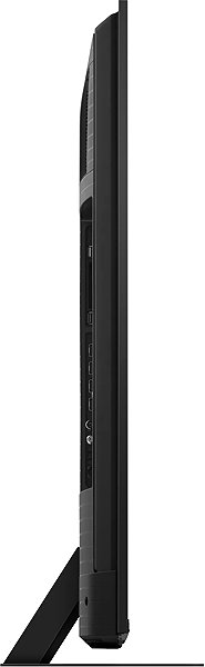 TV 65