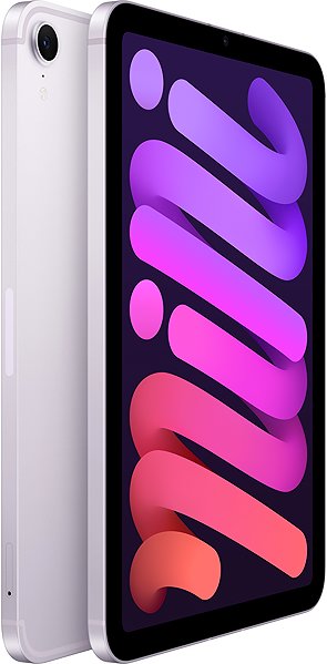 iPad mini Cellular 256GB Purple 2024 tablet.