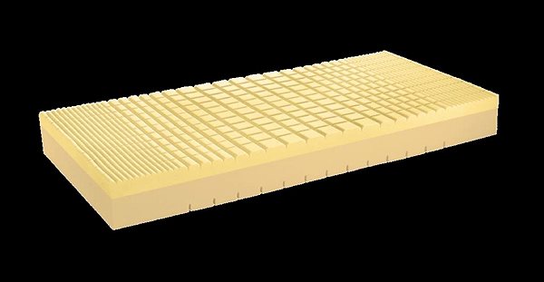 Mattress LB Bohemia Medical anti-disability mattress Ergonomic 14, stiffness H2, 90 x 200 cm, roll ...