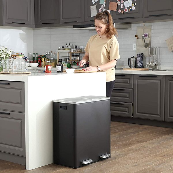 Rubbish Bin Houseland Rubax waste bin 2 × 30 l, black ...