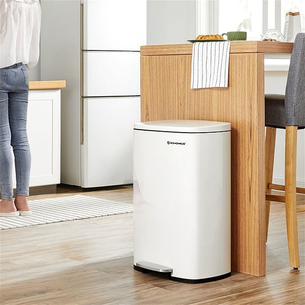 Rubbish Bin Houseland Waste bin BINARD 50 L, white ...