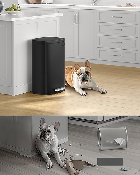 Rubbish Bin Songmics Waste bin with lid DORO 30 L, silver ...