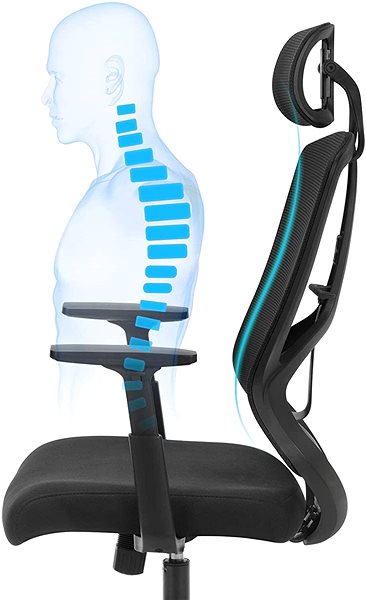 Office Chair Houseland Cameron black ...