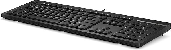Klávesnica HP 125 Keyboard – CZ ...