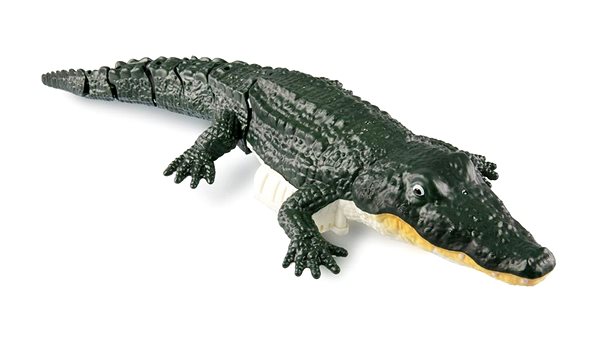 RC model Amewi RC Croco small crocodile into the water .