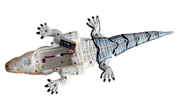 RC model Amewi RC Croco small crocodile into the water .